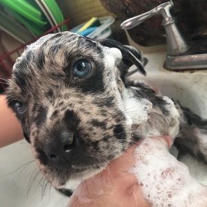 Meet your Posher, Graciela